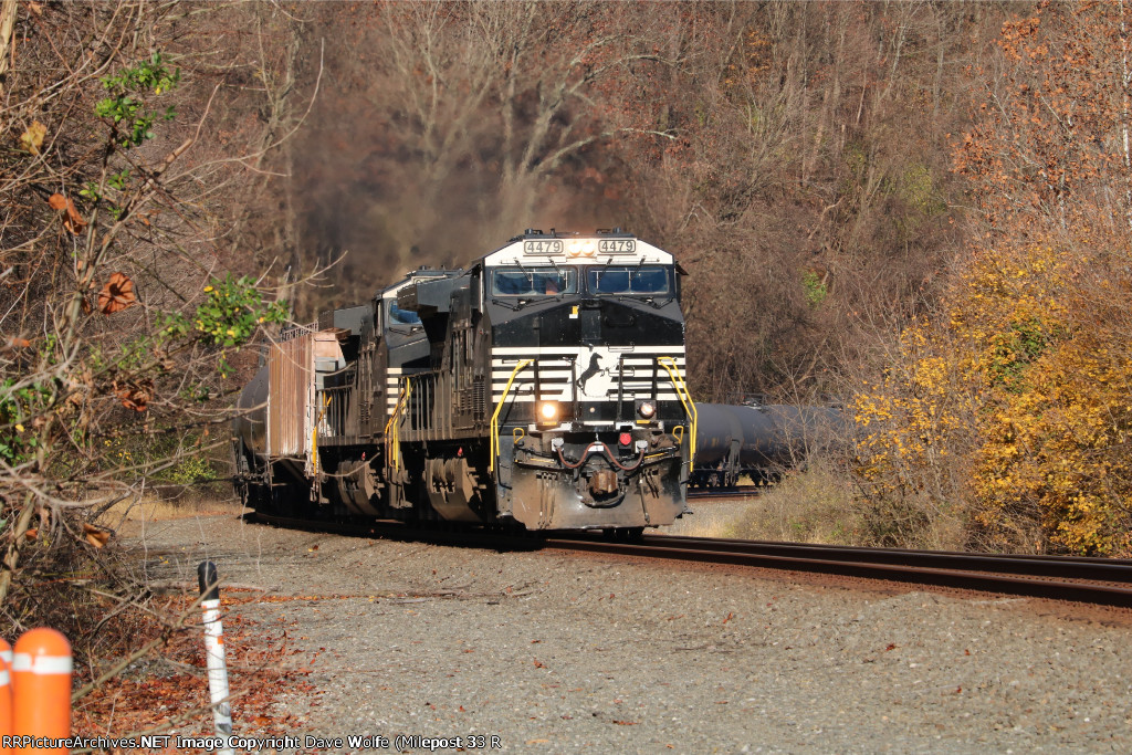 NS 4479